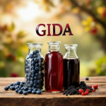 GIDA